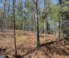 Lot 27 Lake Rabun Bluffs, Lakemont, GA - Thumbnail Image #6