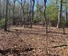 Lot 27 Lake Rabun Bluffs, Lakemont, GA - Thumbnail Image #7