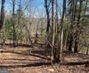 Lot 27 Lake Rabun Bluffs, Lakemont, GA - Thumbnail Image #8