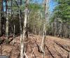 Lot 27 Lake Rabun Bluffs, Lakemont, GA - Thumbnail Image #9