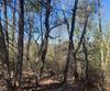 Lot 27 Lake Rabun Bluffs, Lakemont, GA - Thumbnail Image #10