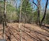 Lot 27 Lake Rabun Bluffs, Lakemont, GA - Thumbnail Image #12