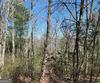 Lot 27 Lake Rabun Bluffs, Lakemont, GA - Thumbnail Image #14