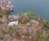 134 Ezzard LN, Lakemont, GA - Thumbnail Image #63