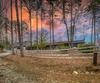 133 Oasis Ridge RD, Lakemont, GA - Thumbnail Image #69