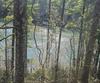 91 Dragway LN, Lakemont, GA - Thumbnail Image #21