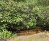 4960 Laurel Lodge Lot 2 RD, Clarkesville, GA - Thumbnail Image #25