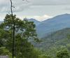 Rainwater Trl, Tiger, GA - Thumbnail Image #3