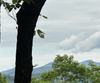 Rainwater Trl, Tiger, GA - Thumbnail Image #6