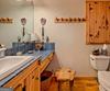 3019 Moccasin Creek RD, Clarkesville, GA - Thumbnail Image #22