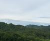 J-27 & J-28 Bent Grass Way, Clayton, GA - Thumbnail Image #2
