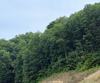 J-27 & J-28 Bent Grass Way, Clayton, GA - Thumbnail Image #5