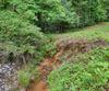 5637 Murray Cove RD, Tiger, GA - Thumbnail Image #52