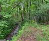 5637 Murray Cove RD, Tiger, GA - Thumbnail Image #53