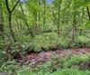 5637 Murray Cove RD, Tiger, GA - Thumbnail Image #54
