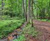 5637 Murray Cove RD, Tiger, GA - Thumbnail Image #55