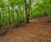 63 + 84 Loudermilk LN, Lakemont, GA - Thumbnail Image #75