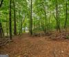 63 + 84 Loudermilk LN, Lakemont, GA - Thumbnail Image #76