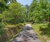 63 + 84 Loudermilk LN, Lakemont, GA - Thumbnail Image #97