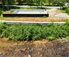 Old 441 S, Lakemont, GA - Thumbnail Image #15