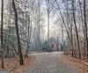 341 Brookwood LN, Clarkesville, GA - Thumbnail Image #57