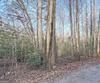 341 Brookwood LN, Clarkesville, GA - Thumbnail Image #70