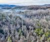 341 Brookwood LN, Clarkesville, GA - Thumbnail Image #77