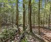 341 Brookwood LN, Clarkesville, GA - Thumbnail Image #85