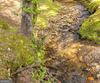 4960 Laurel Lodge RD, Clarkesville, GA - Thumbnail Image #35