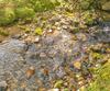4960 Laurel Lodge RD, Clarkesville, GA - Thumbnail Image #36