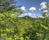 Bent Grass Way, Clayton, GA - Thumbnail Image #13