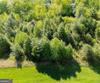 Bent Grass Way, Clayton, GA - Thumbnail Image #15