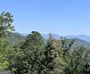 Ivy Ridge, Clarkesville, GA - Thumbnail Image #3