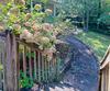 188 Fulton RD, Tiger, GA - Thumbnail Image #47