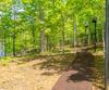 1 Burton Is, Tiger, GA - Thumbnail Image #83