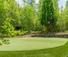 1 Burton Is, Tiger, GA - Thumbnail Image #85