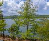 1 Burton Is, Tiger, GA - Thumbnail Image #90