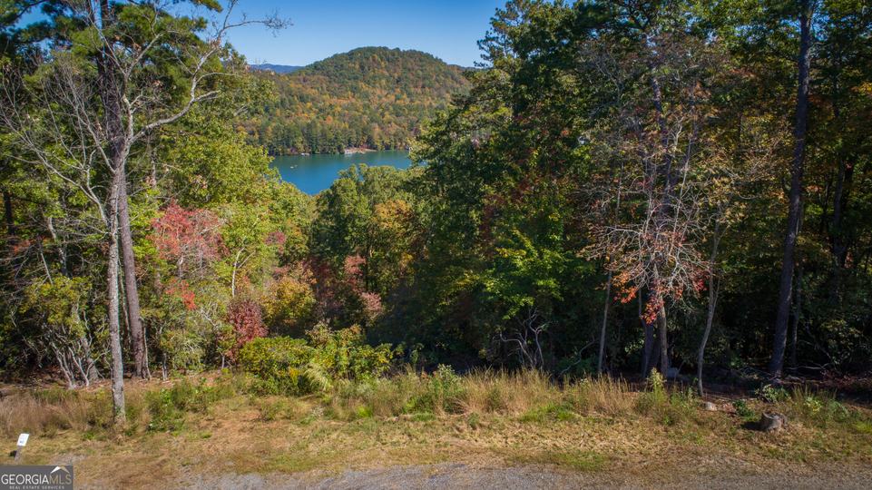Ivy Ridge Way, Clarkesville, GA - Image #2