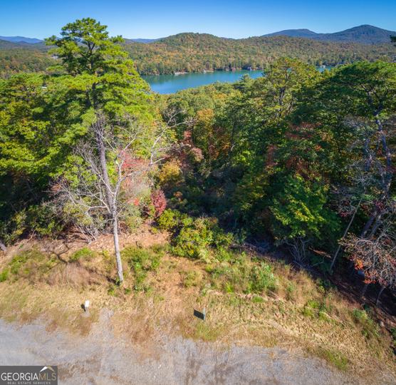 Ivy Ridge Way, Clarkesville, GA - Image #5
