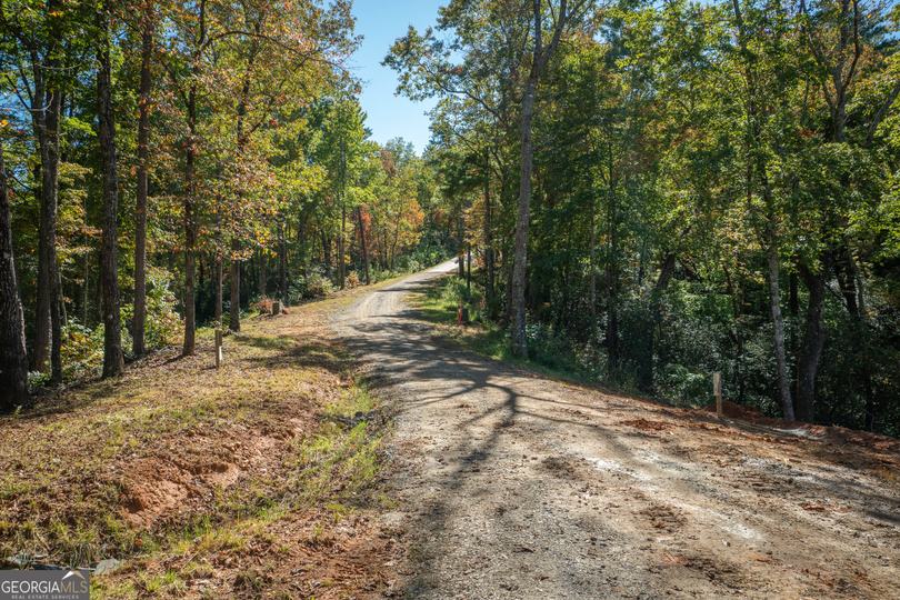 Ivy Ridge Way, Clarkesville, GA - Image #6