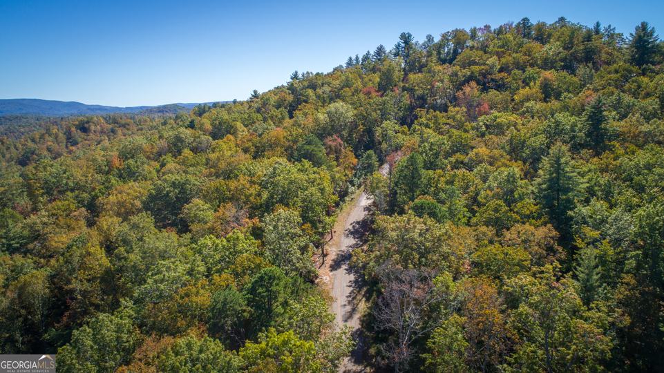 Ivy Ridge Way, Clarkesville, GA - Image #7
