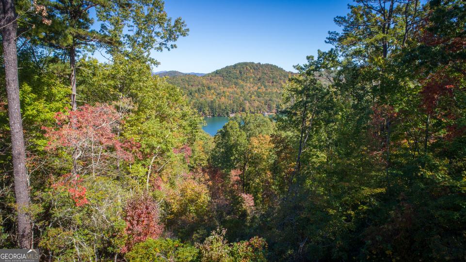 Ivy Ridge Way, Clarkesville, GA - Image #10