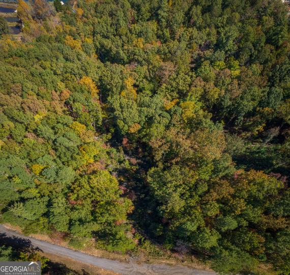 Ivy Ridge Way, Clarkesville, GA - Image #11