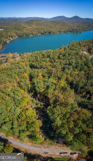 Ivy Ridge Way, Clarkesville, GA - Image #12