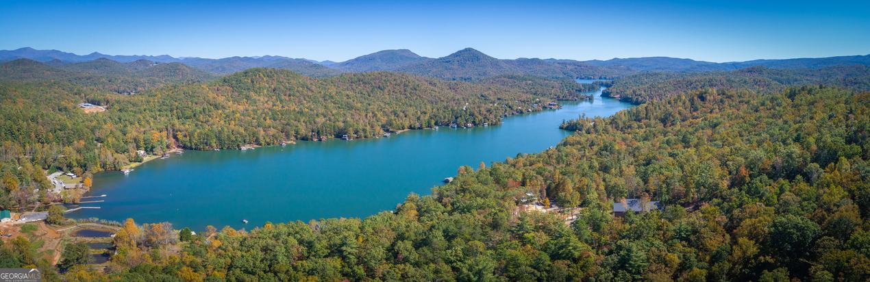Ivy Ridge Way, Clarkesville, GA - Image #13