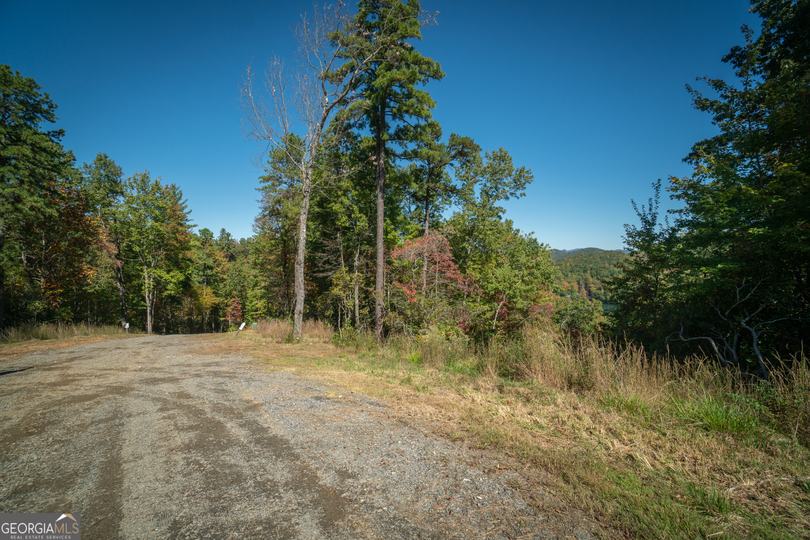 Ivy Ridge Way, Clarkesville, GA - Image #15