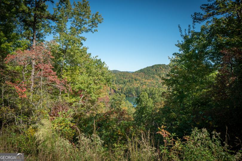 Ivy Ridge Way, Clarkesville, GA - Image #16