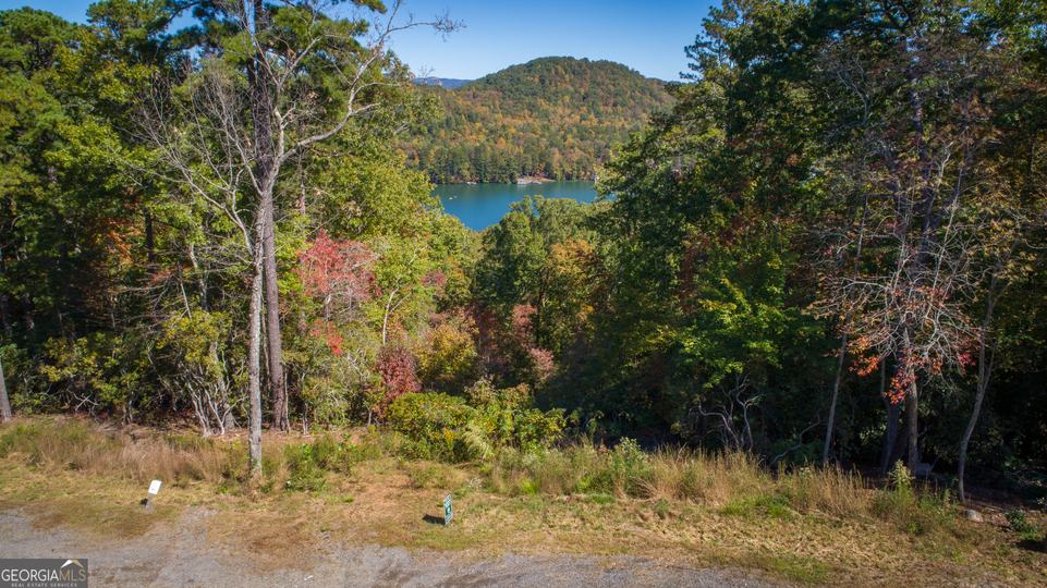 Ivy Ridge Way, Clarkesville, GA - Image #17