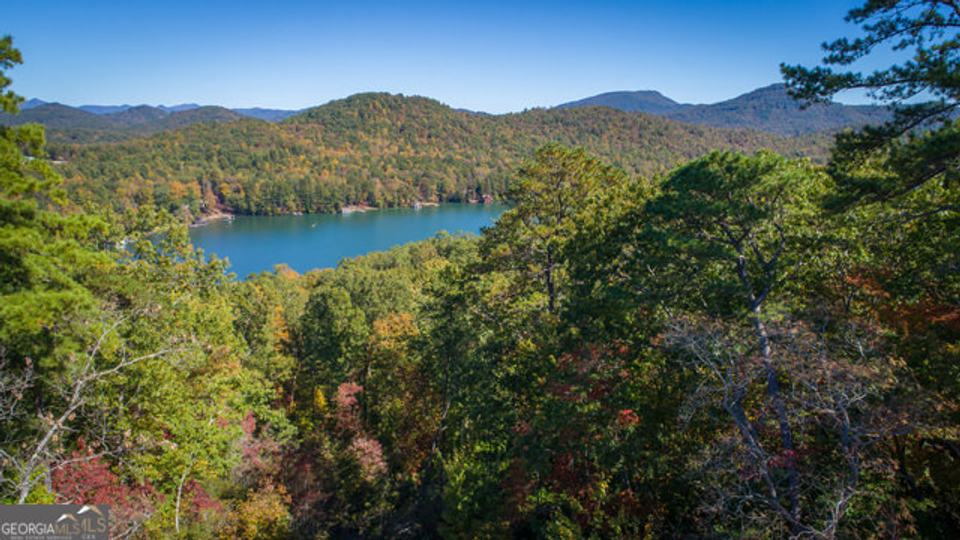 Ivy Ridge Way, Clarkesville, GA - Image #18