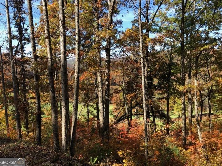 J35 Bent Grass, Clayton, GA - Image #5